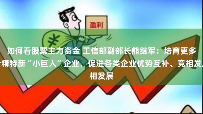 如何看股票主力资金 工信部副部长熊继军：培育更多专精特新“小巨人”企业，促进各类企业优势互补、竞相发展